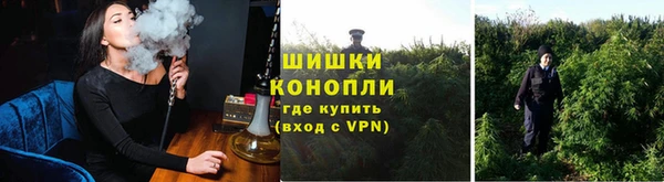 дмт Каменка
