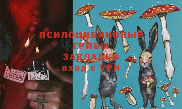 спиды Абдулино