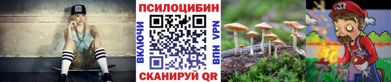 Псилоцибиновые грибы Psilocybine cubensis  блэк спрут зеркало  Воронеж  наркотики 